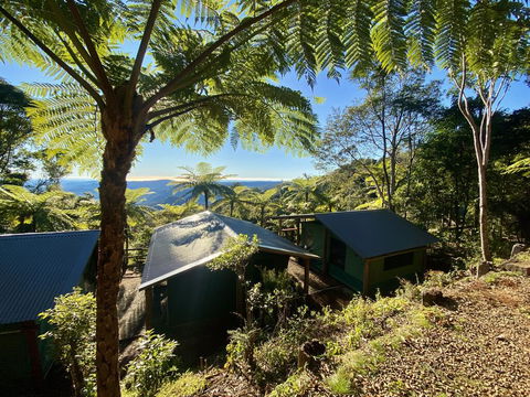 Binna Burra Rainforest Campsite - Accommodation Yamba 2