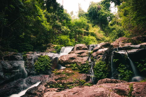 Binna Burra Rainforest Campsite - Accommodation Yamba 3