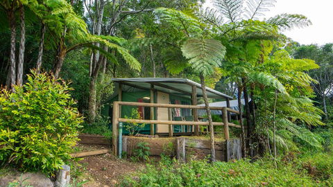 Binna Burra Rainforest Campsite - Accommodation Yamba 0