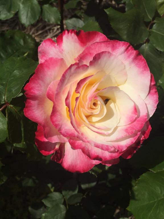 Yarck VIC Accommodation Yamba