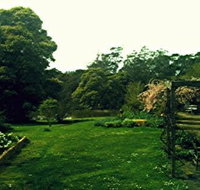 Birdwing Bed and Breakfast Weegena - Accommodation Yamba