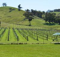Blue House at Mountainside Wines - Accommodation Yamba