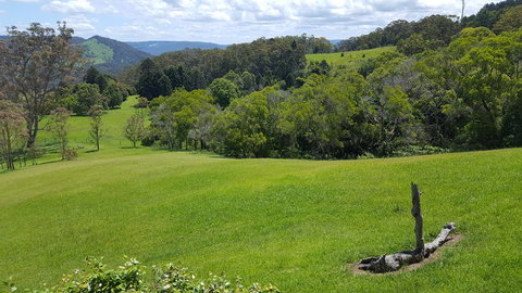 Blue Summit Cottages - Accommodation Yamba 3