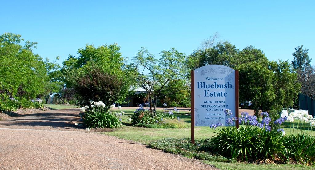 Kitchener NSW Accommodation Yamba