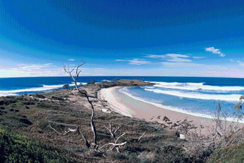 Yamba Central - Accommodation Yamba 3