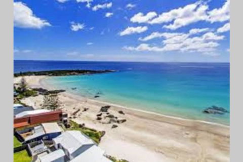 Zoo Villas: Villa Giraffe - Central Wynyard - Accommodation Yamba 0