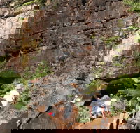 3-Day Kakadu 4WD Camping Safari from Darwin - Accommodation Yamba