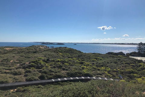 Penguin Island And Fremantle - Canoe, Chocolate & Coffee - Accommodation Yamba 0