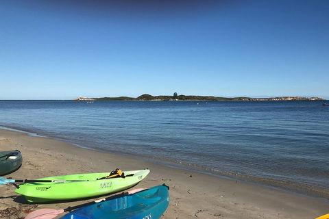 Penguin Island And Fremantle - Canoe, Chocolate & Coffee - Accommodation Yamba 2