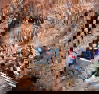 Private Tour Jenolan Caves  Blue Mountains in a day - Accommodation Yamba