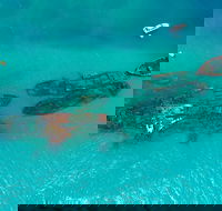 Private Tangalooma Wrecks Tour - Accommodation Yamba