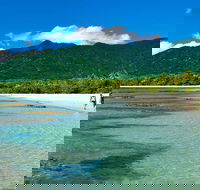 5-Day Best of Cairns with Daintree Kuranda and Great Barrier Reef - Accommodation Yamba