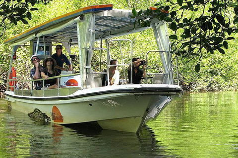 5-Day Best Of Cairns With Daintree, Kuranda, And Great Barrier Reef - Accommodation Yamba 1