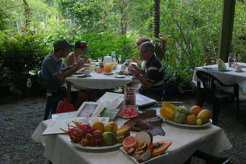 5-Day Best Of Cairns With Daintree, Kuranda, And Great Barrier Reef - Accommodation Yamba 4