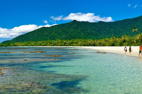 8-Day Cairns Tour: Great Barrier Reef, Kuranda, Daintree Rainforest - Accommodation Yamba 0