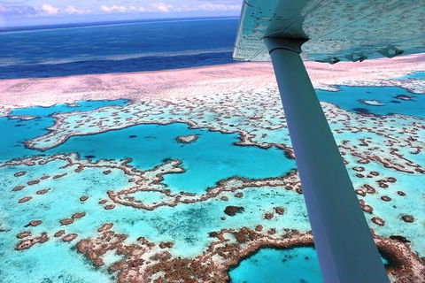 8-Day Cairns Tour: Great Barrier Reef, Kuranda, Daintree Rainforest - Accommodation Yamba 2