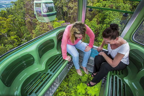 8-Day Cairns Tour: Great Barrier Reef, Kuranda, Daintree Rainforest - Accommodation Yamba 3