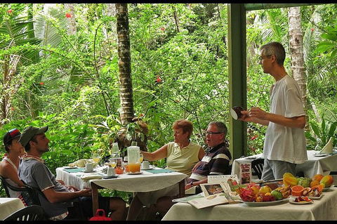 8-Day Cairns Tour: Great Barrier Reef, Kuranda, Daintree Rainforest - Accommodation Yamba 4