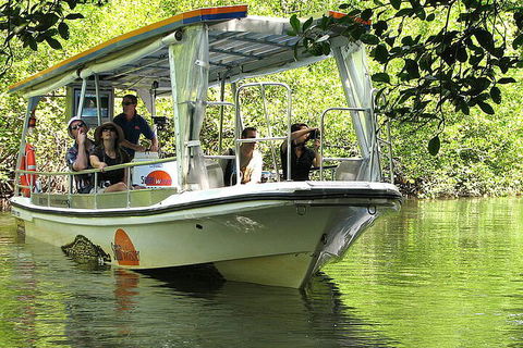 8-Day Cairns Tour: Great Barrier Reef, Kuranda, Daintree Rainforest - Accommodation Yamba 5