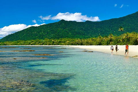 Private Daintree National Park Day Tour From Cairns Including Cape Tribulation And Mossman Gorge - Accommodation Yamba 0