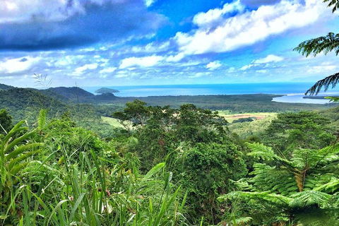 Private Daintree National Park Day Tour From Cairns Including Cape Tribulation And Mossman Gorge - Accommodation Yamba 2