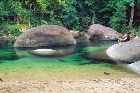 Private Daintree National Park Day Tour From Cairns Including Cape Tribulation And Mossman Gorge - Accommodation Yamba 4