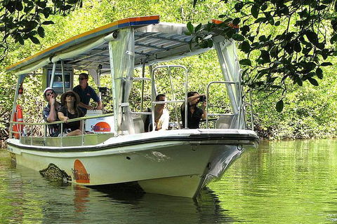 Private Daintree National Park Day Tour From Cairns Including Cape Tribulation And Mossman Gorge - Accommodation Yamba 5