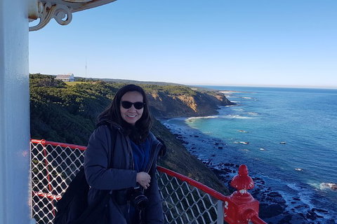 Great Ocean Road Full Day Private Experience - Accommodation Yamba 1