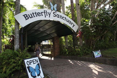 Kuranda Day Trip From Port Douglas Upgrade To Skyrail & Scenic Train Available - Accommodation Yamba 0