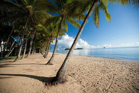 Kuranda Day Trip From Port Douglas Upgrade To Skyrail & Scenic Train Available - Accommodation Yamba 1