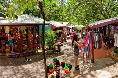 Kuranda Day Trip From Port Douglas Upgrade To Skyrail & Scenic Train Available - Accommodation Yamba 2