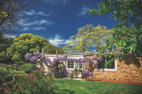 McLaren Vale Winery Small Group Tour With Wine Tasting And Lunch - Accommodation Yamba 2