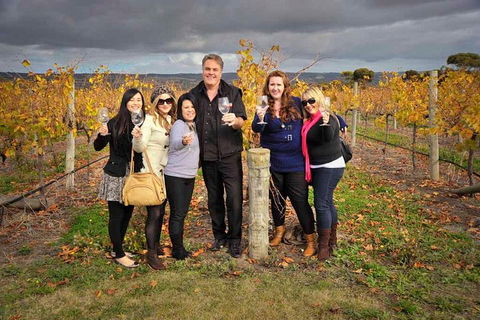 McLaren Vale Winery Small Group Tour With Wine Tasting And Lunch - Accommodation Yamba 3
