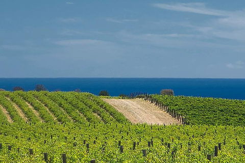 McLaren Vale Winery Small Group Tour With Wine Tasting And Lunch - Accommodation Yamba 4