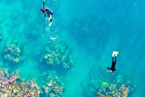 Fly & Cruise - Seaplane Package - Accommodation Yamba 1