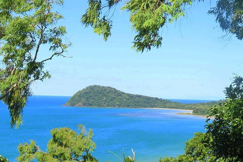 Full Day Tour In The Daintree - Accommodation Yamba 1