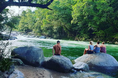Full Day Tour In The Daintree - Accommodation Yamba 3