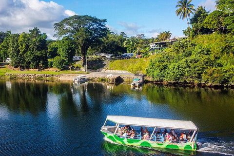 Afternoon Half-Day Daintree Rainforest And River Tour - Accommodation Yamba 1