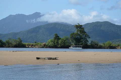 Afternoon Half-Day Daintree Rainforest And River Tour - Accommodation Yamba 2