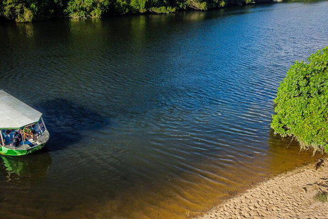 Afternoon Half-Day Daintree Rainforest And River Tour - Accommodation Yamba 3