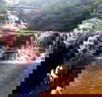 Private Blue Mountains Day Tour including Wildlife Park - Accommodation Yamba