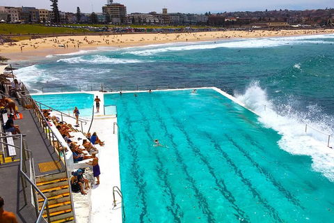 Private Sydney Half Day Tour Including Sydney Opera House And Bondi Beach - Accommodation Yamba 1