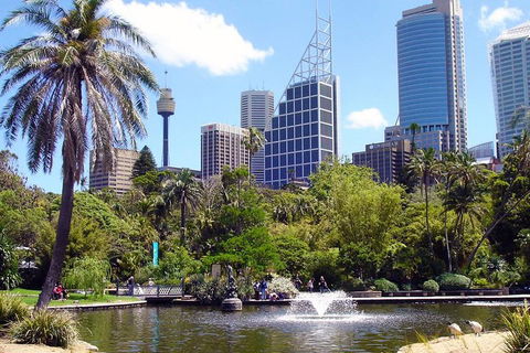 Private Sydney Half Day Tour Including Sydney Opera House And Bondi Beach - Accommodation Yamba 4