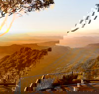 O'Reilly's  Lamington National Park incl. Alpaca Farm  Vineyard - Accommodation Yamba
