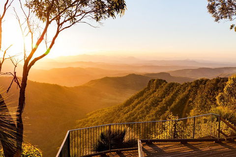 O'Reilly's & Lamington National Park Incl. Alpaca Farm + Vineyard - Accommodation Yamba 0