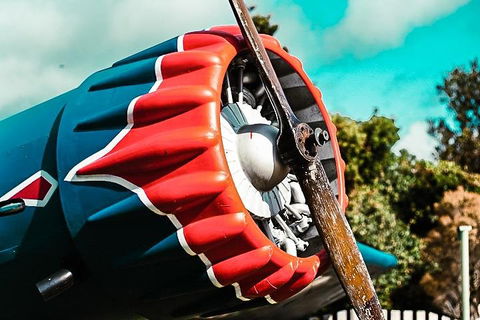 O'Reilly's & Lamington National Park Incl. Alpaca Farm + Vineyard - Accommodation Yamba 1