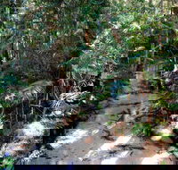 Fraser Island 4WD Tour from Rainbow Beach - Accommodation Yamba