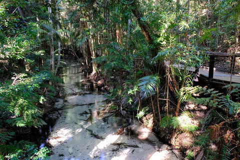 Fraser Island 4WD Tour From Rainbow Beach - Accommodation Yamba 0