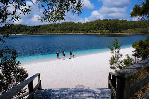 Fraser Island 4WD Tour From Rainbow Beach - Accommodation Yamba 3