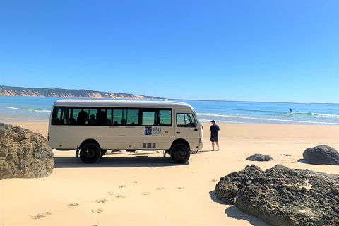 Kayak With Dolphins And 4WD Great Beach Drive Day Trip From Noosa - Accommodation Yamba 4